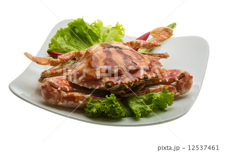 Red crab 12537461
