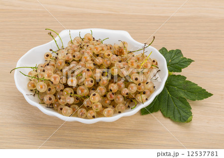 White currant White currant 12537781