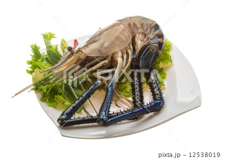 Freshwater prawn 12538019