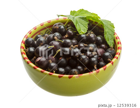 Black currant 12539316