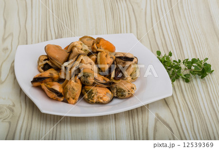 Mussels Mussels 12539369