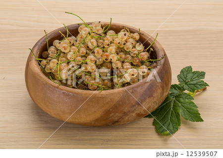 White currant 12539507