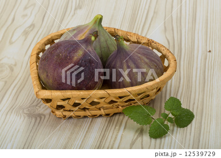 Figs 12539729