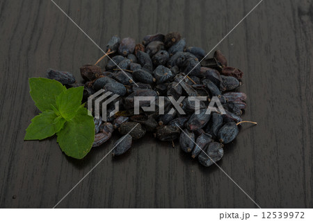 Berberis Berberis 12539972