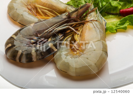 King and waterleg shrimps King and waterleg shrimps 12540060