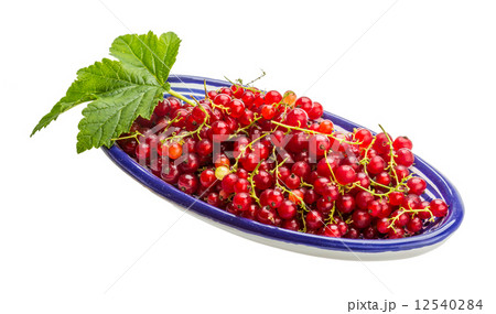 Red currant Red currant 12540284