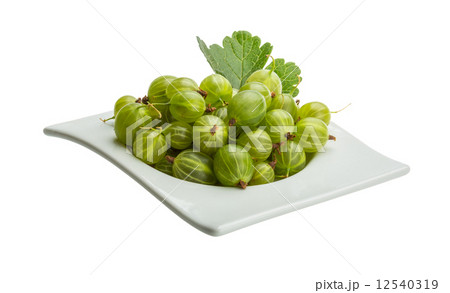 Gooseberry Gooseberry 12540319