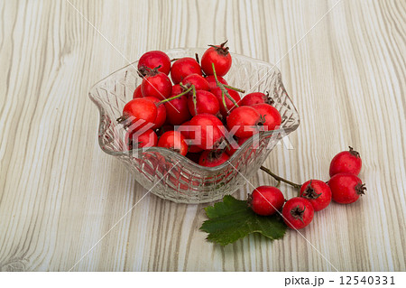 Hawthorn Hawthorn 12540331