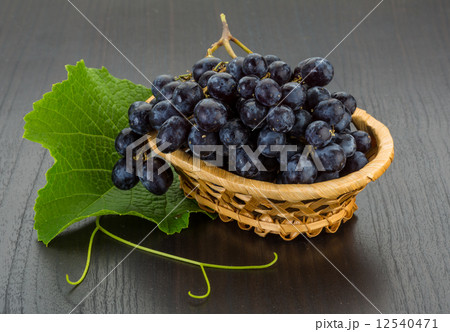 Grape 12540471