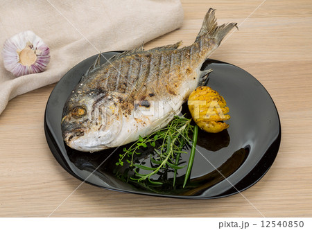 Grilled dorado Grilled dorado 12540850
