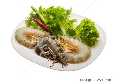 King and waterleg shrimps King and waterleg shrimps 12541746