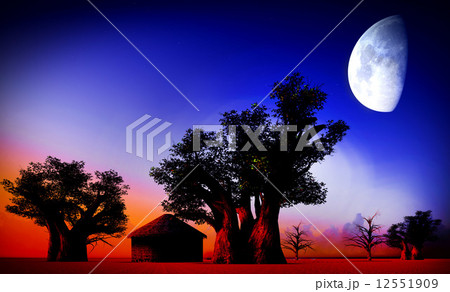 African village at night  12551909