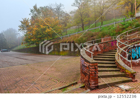 Foggy morning in city park. 12552236