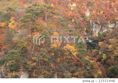 鳴子峡を走る陸羽東線 12552446