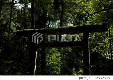 気多大社摂社太玉神社鳥居 12552515