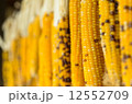 干しとうもろこし 12552709