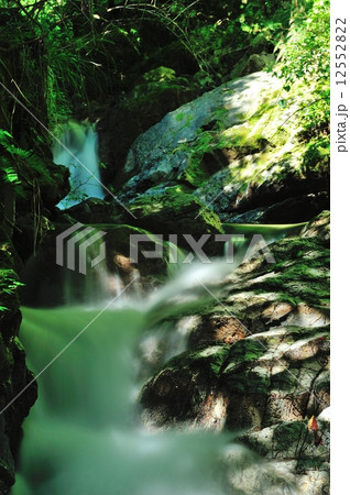 京都洛北貴船の渓流 12552822