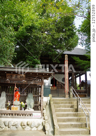 秩父の定林寺 12552899