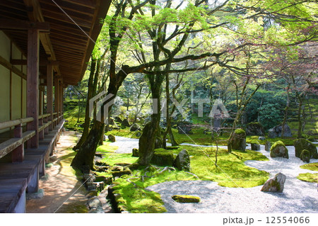 太宰府 光明寺の庭園 太宰府 光明寺の庭園 12554066