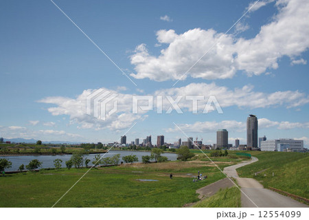 初夏の川口市中央地区の高層マンション群 初夏の川口市中央地区の高層マンション群 12554099