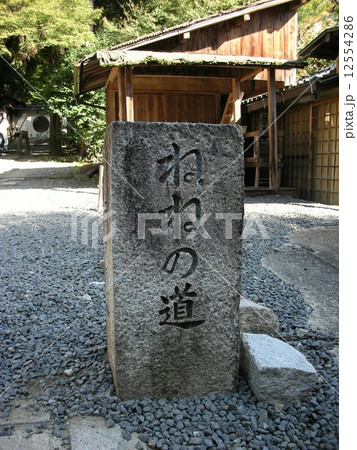 ねねの道 12554286