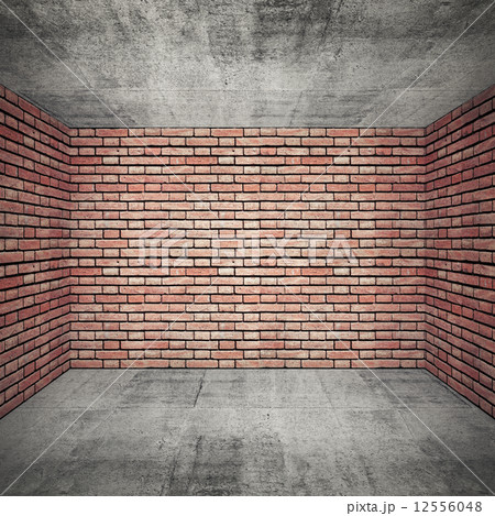 Empty room interior with brick walls and concrete floor Empty room interior with brick walls and concrete floor 12556048