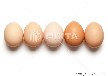 Eggs 12556075