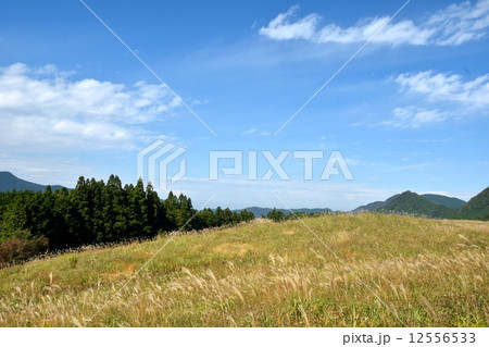 秋の曽爾高原、草原とコピースペース 12556533