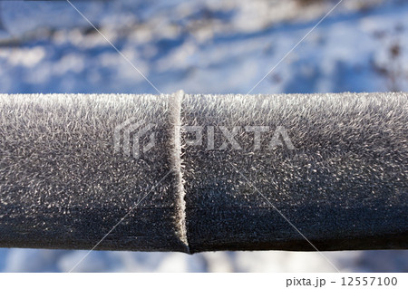竹垣に降った針のような霜 12557100