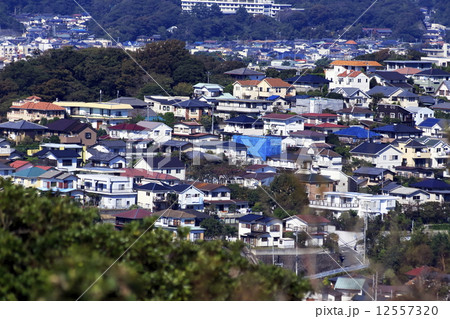 逗子市の住宅街 12557320