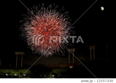 花火 花火 12557330