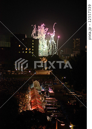 花火 花火 12557339