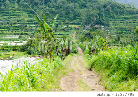 バリ島の山間部の風景 12557798