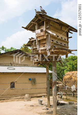 ネパール チトワン ソウラハ村の鳩小屋 ネパール チトワン ソウラハ村の鳩小屋 12557801