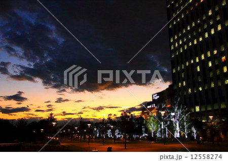 お台場の夕暮れ 12558274