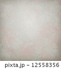 Beautiful retro illustration  12558356
