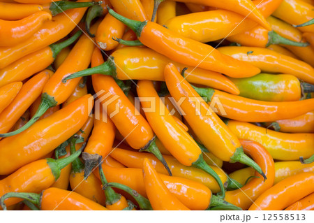 spicy yellow chilly peppers for sale spicy yellow chilly peppers for sale 12558513
