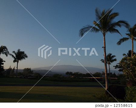 マウナロアをのぞむ 12558615