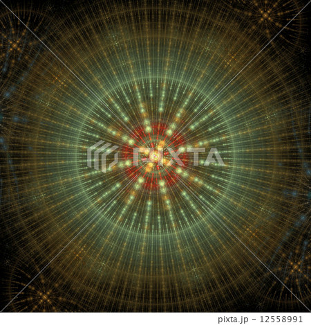 Symmetrical growth of bacteria 12558991