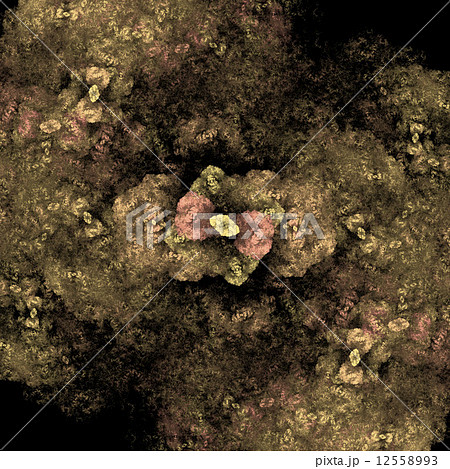Symmetrical growth of bacteria Symmetrical growth of bacteria 12558993
