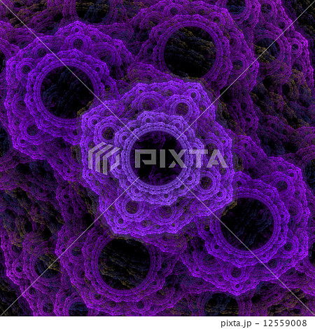 Symmetrical growth of bacteria 12559008