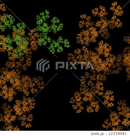 Symmetrical growth of bacteria Symmetrical growth of bacteria 12559081