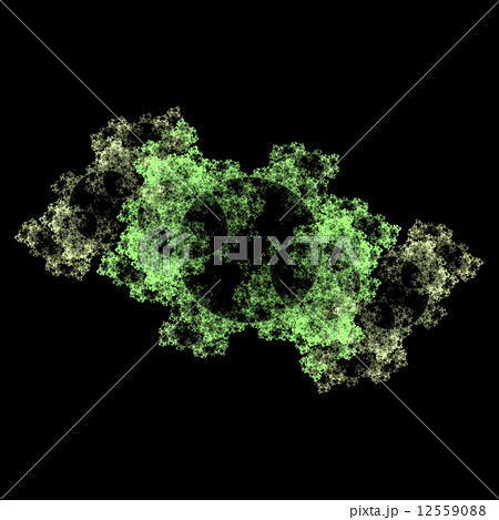 Symmetrical growth of bacteria 12559088