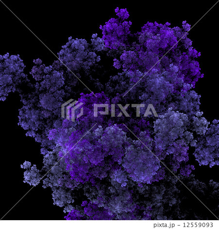 Symmetrical growth of bacteria 12559093
