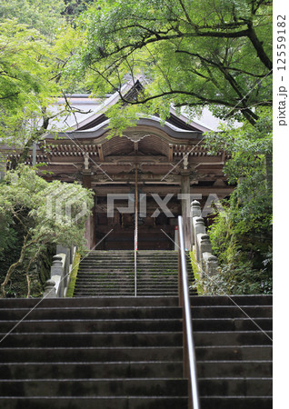 四国霊場第44番札所「大寶寺」本堂(愛媛県内最古の木造建築、国宝) 四国霊場第44番札所「大寶寺」本堂(愛媛県内最古の木造建築、国宝) 12559182
