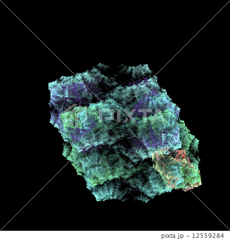 Symmetrical growth of bacteria 12559284