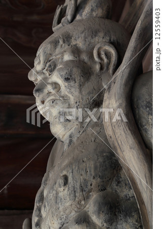 四国霊場第80番札所「讃岐国分寺」山門（仁王門）の仁王像、吽形 12559403