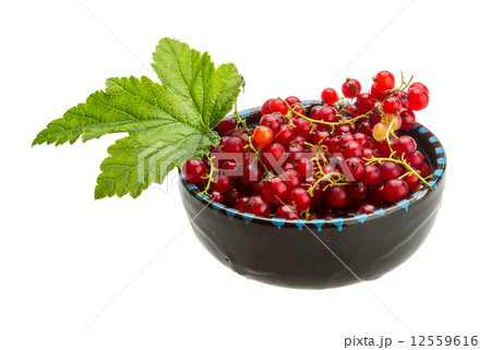 Red currant 12559616