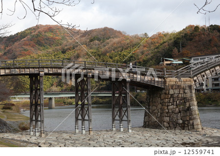 秋の錦帯橋 12559741