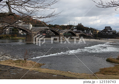 秋の錦帯橋 12559743